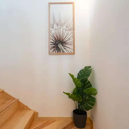 Apartment Host Wise - Modern Comfy Flat Porto